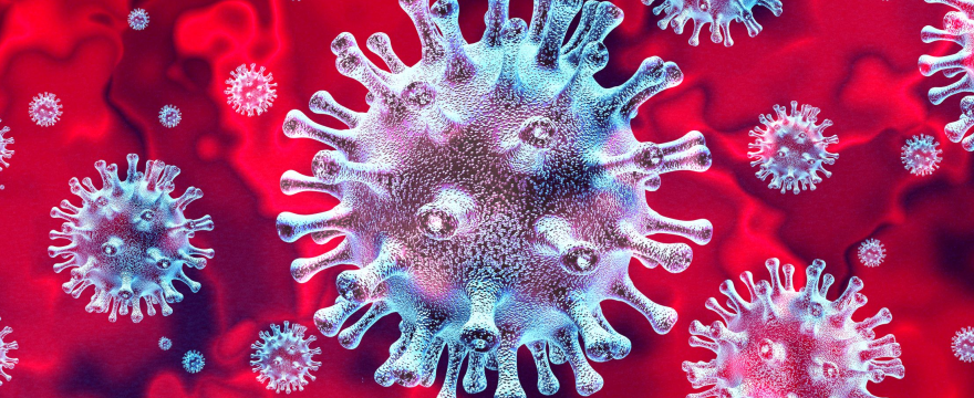 The coronavirus under a microscope (File photo)