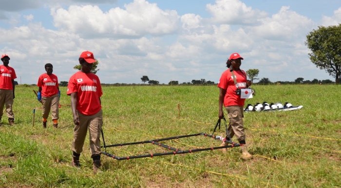 A Japan-funded UNMAS' team demonstrating survey and clearance of a cluster munition strike in Eastern Equatoria. [Photo: UNMAS]