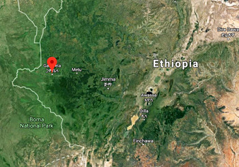 Photo: Gambela in Ethiopia (retrieved from Google maps)