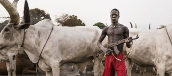 File photo: A South Sudanese man guards his cattle. (Credit: Tariq Zaidi)